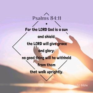 Meet your Posher, Arlene